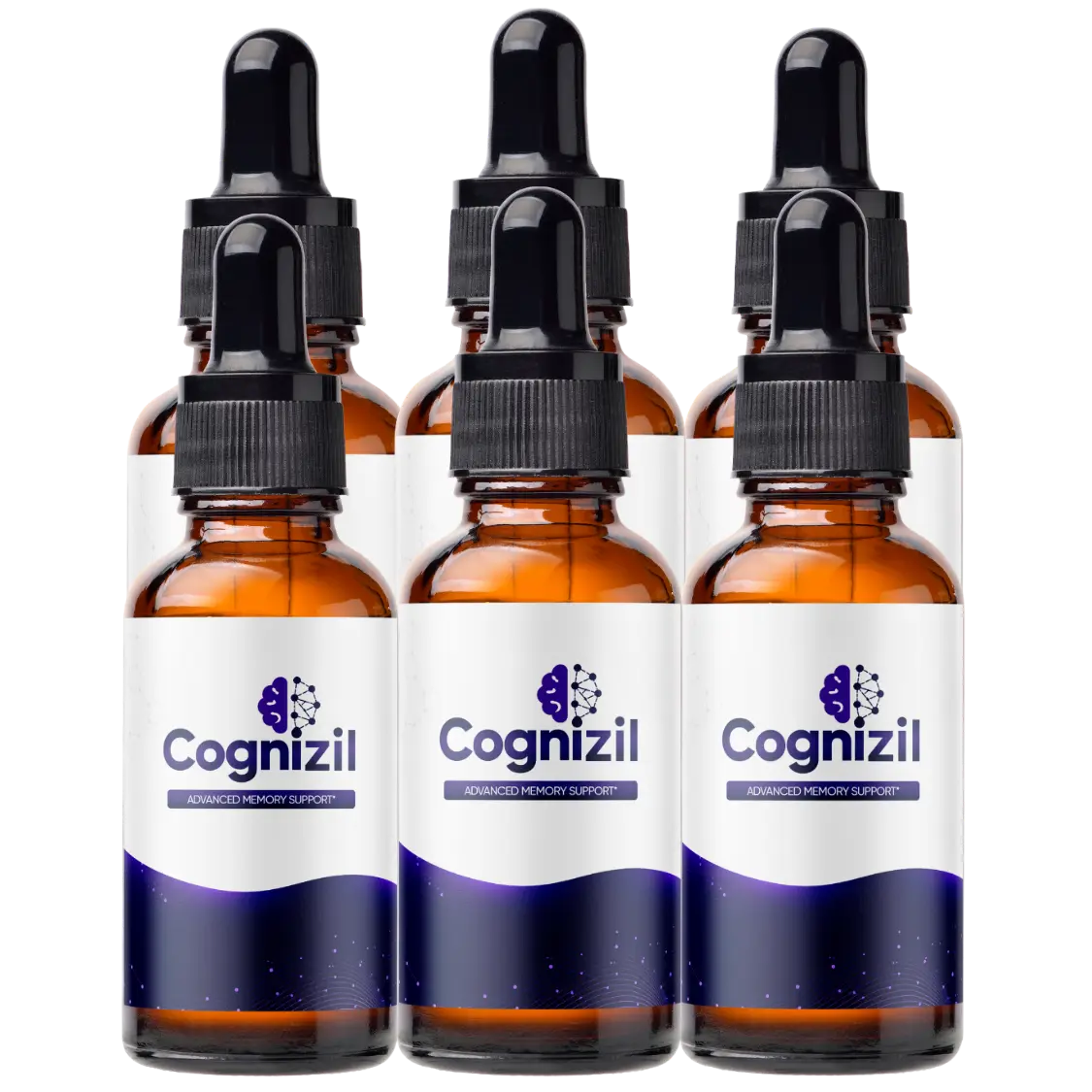 CogniZil multi bottle bundle